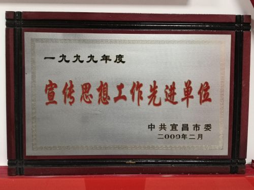 6.宣传思想工作先进单位（锁金山）